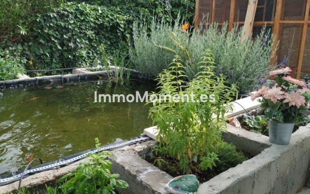 Revente - Maison de campagne - Crevillente - Crevillente - Crevillent Centro