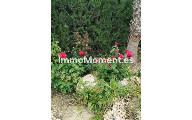 Revente - Maison de campagne - Crevillente - Crevillente - Crevillent Centro