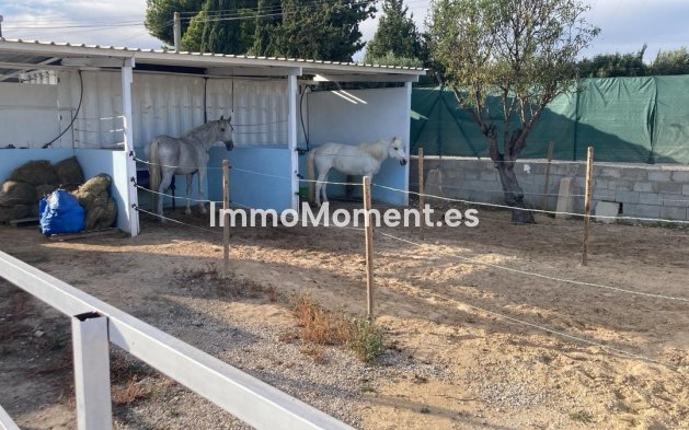 Revente - Maison de campagne - Crevillente - Crevillente - Crevillent Centro