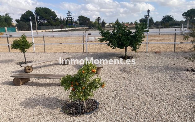 Revente - Maison de campagne - Crevillente - Crevillente - Crevillent Centro