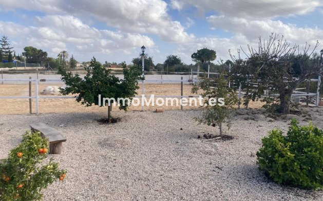 Revente - Maison de campagne - Crevillente - Crevillente - Crevillent Centro