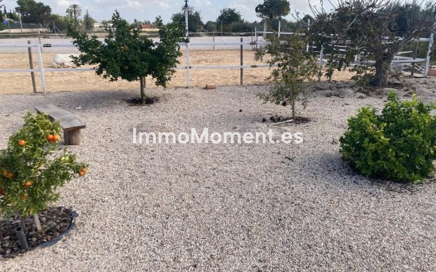 Revente - Maison de campagne - Crevillente - Crevillente - Crevillent Centro