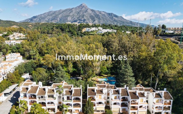 Resale - Apartment - Marbella - Nueva Andalucía