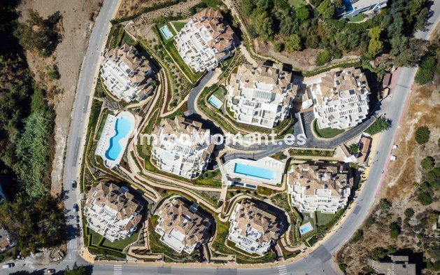 Revente - Appartement - Marbella - Nueva Andalucía