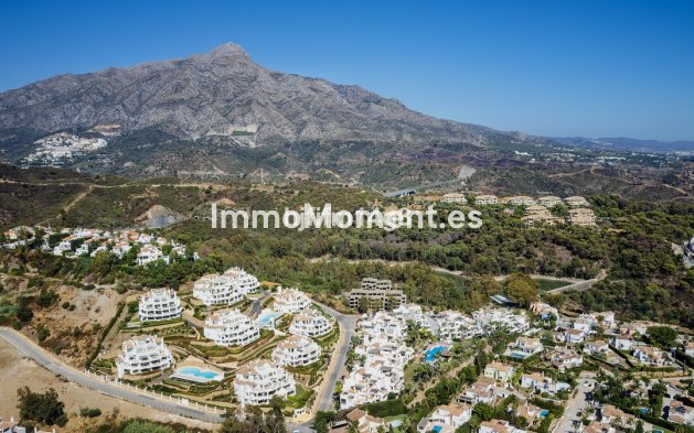 Revente - Appartement - Marbella - Nueva Andalucía