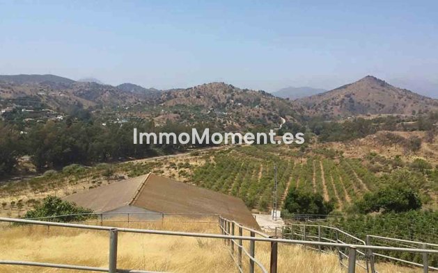 Revente - Maison de campagne - Intérieur                       - Coín