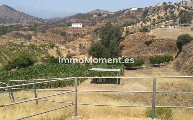 Revente - Maison de campagne - Intérieur                       - Coín