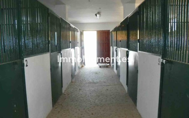 Revente - Maison de campagne - Intérieur                       - Coín