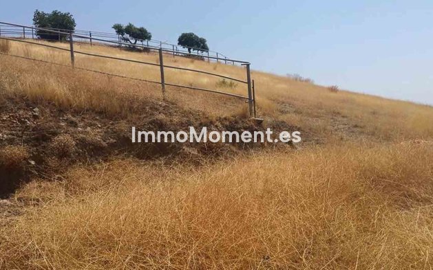 Revente - Maison de campagne - Intérieur                       - Coín