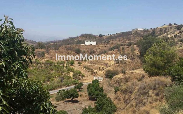 Revente - Maison de campagne - Intérieur                       - Coín