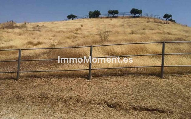 Revente - Maison de campagne - Intérieur                       - Coín