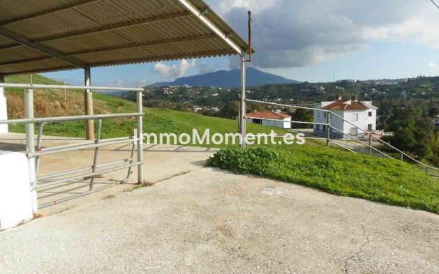 Revente - Maison de campagne - Intérieur                       - Coín