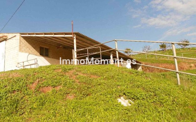 Revente - Maison de campagne - Intérieur                       - Coín