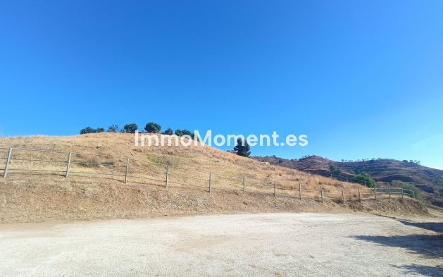 Revente - Maison de campagne - Intérieur                       - Coín