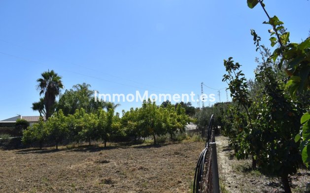 Revente - Maison de campagne - Intérieur                       - Alhaurín el Grande Centro