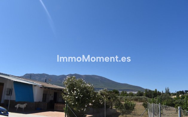 Revente - Maison de campagne - Intérieur                       - Alhaurín el Grande Centro