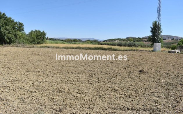 Revente - Maison de campagne - Intérieur                       - Alhaurín el Grande Centro
