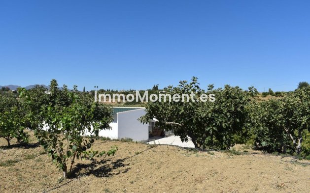 Revente - Maison de campagne - Intérieur                       - Alhaurín el Grande Centro