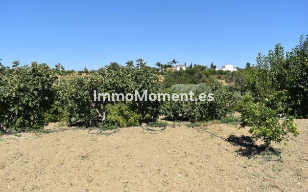Revente - Maison de campagne - Intérieur                       - Alhaurín el Grande Centro