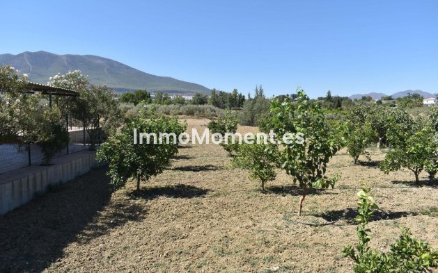 Revente - Maison de campagne - Intérieur                       - Alhaurín el Grande Centro