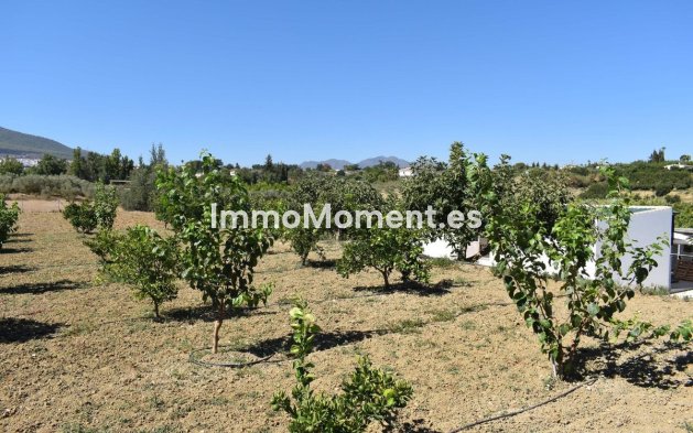 Revente - Maison de campagne - Intérieur                       - Alhaurín el Grande Centro