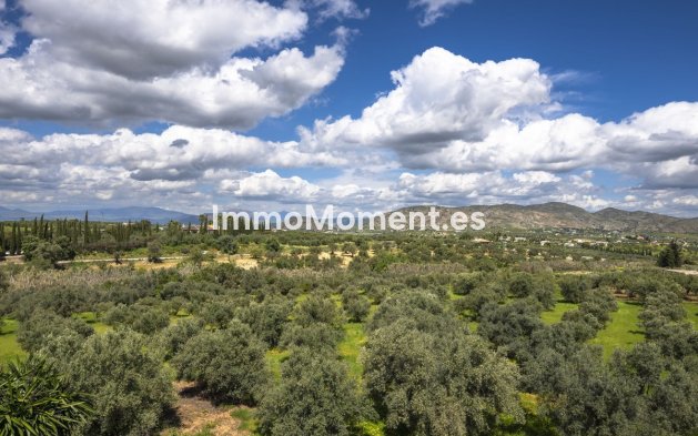 Revente - Maison de campagne - Intérieur                       - Alhaurín el Grande Centro