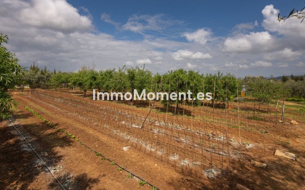 Revente - Maison de campagne - Intérieur                       - Alhaurín el Grande Centro