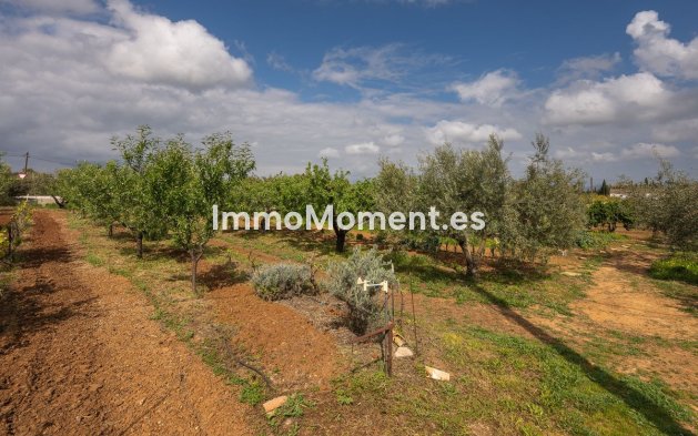 Revente - Maison de campagne - Intérieur                       - Alhaurín el Grande Centro