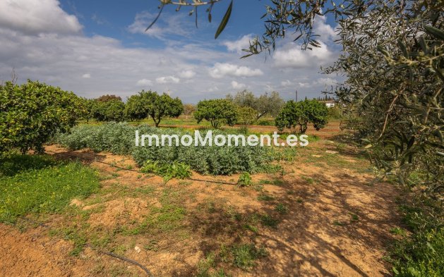 Revente - Maison de campagne - Intérieur                       - Alhaurín el Grande Centro
