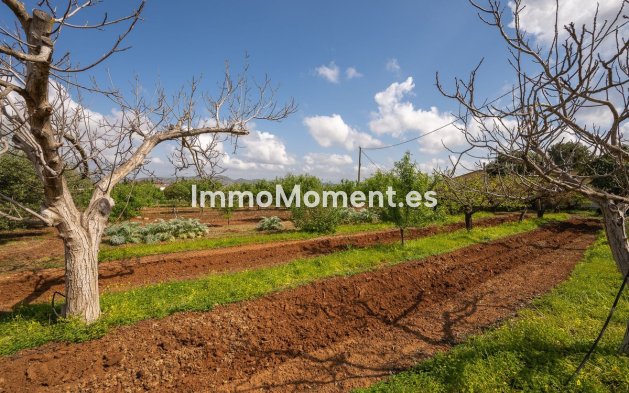Revente - Maison de campagne - Intérieur                       - Alhaurín el Grande Centro