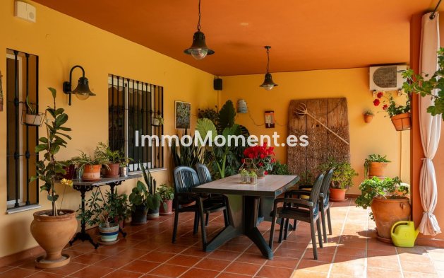 Revente - Maison de campagne - Intérieur                       - Alhaurín el Grande Centro