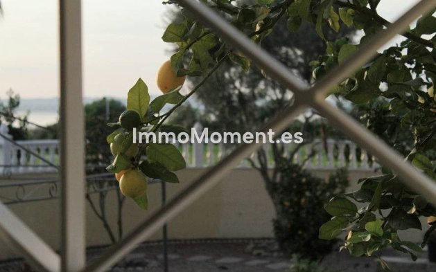 Revente - Villa - Torrevieja - La Siesta