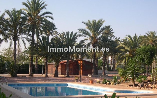 Reventa - Villa - Elche - Elche Centro