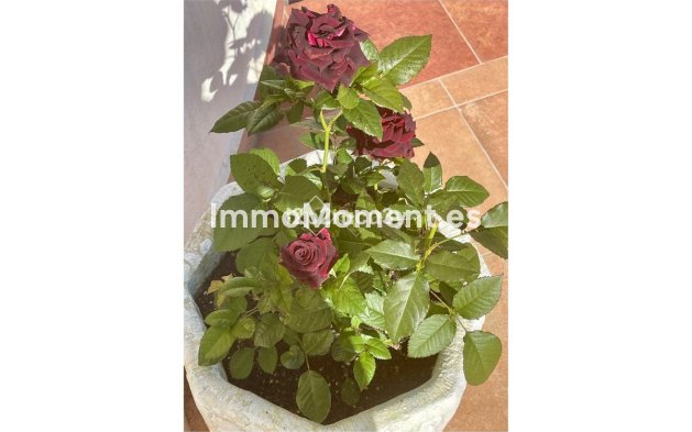 Resale - Villa - Teulada - Moraira