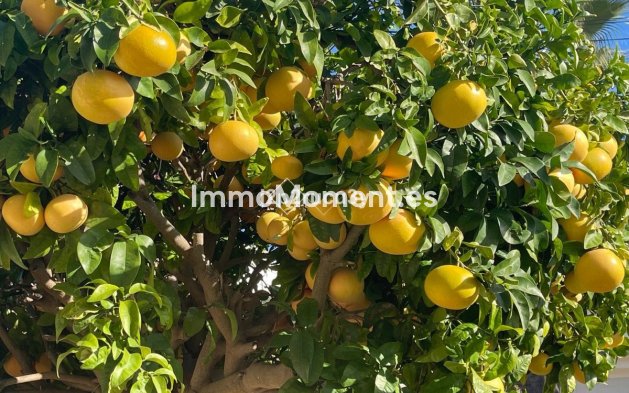 Resale - Villa - Teulada - Moraira