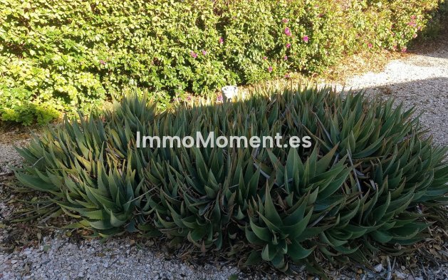 Resale - Country house - Orihuela - Orihuela Centro