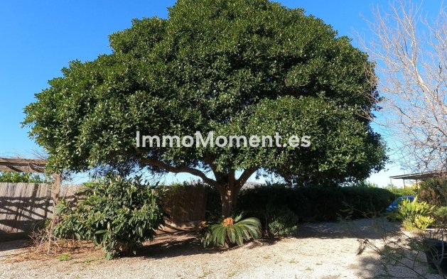 Resale - Country house - Orihuela - Orihuela Centro