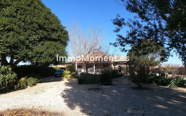 Resale - Country house - Orihuela - Orihuela Centro