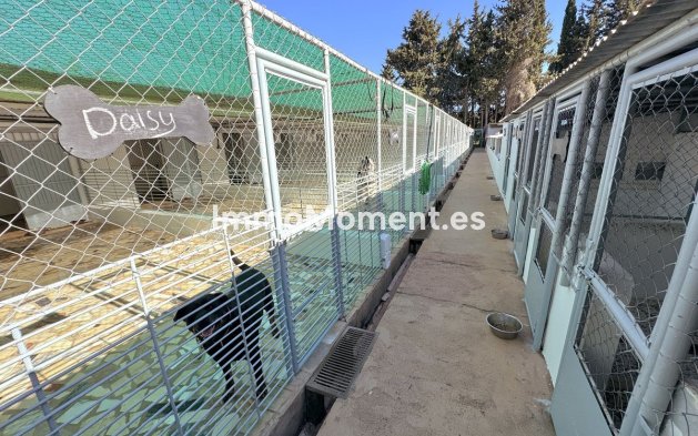 Bestaande woning - Landhuis - Mijas - Mijas Centro