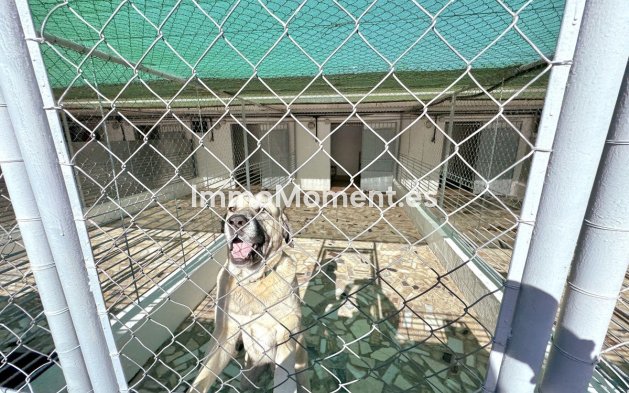 Bestaande woning - Landhuis - Mijas - Mijas Centro