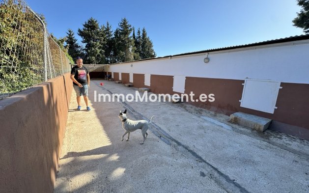 Bestaande woning - Landhuis - Mijas - Mijas Centro