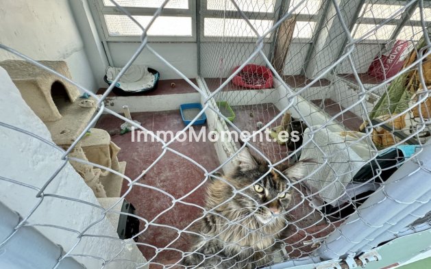 Bestaande woning - Landhuis - Mijas - Mijas Centro