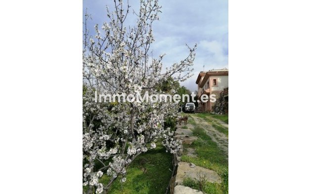 Reventa - Villa - Estepona  - Selwo