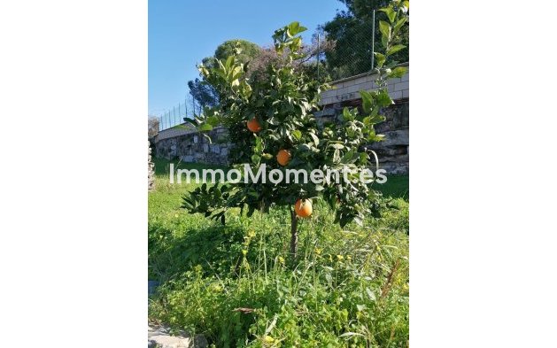 Reventa - Villa - Estepona  - Selwo