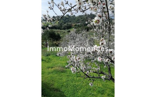 Reventa - Villa - Estepona  - Selwo