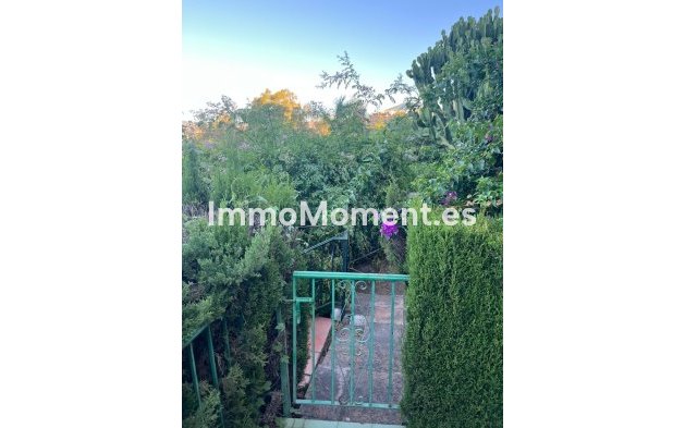 Revente - Appartement - Marbella - Nueva Andalucía