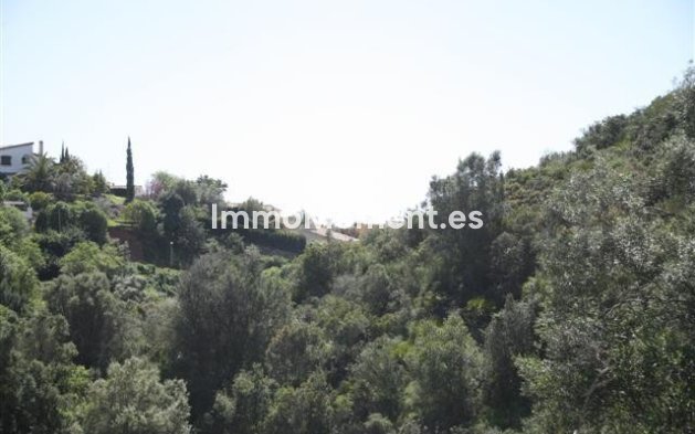 Obra nueva - Terreno - Marbella - El Rosario