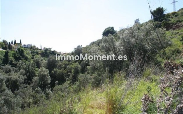 Obra nueva - Terreno - Marbella - El Rosario