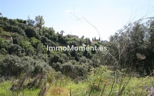 Obra nueva - Terreno - Marbella - El Rosario