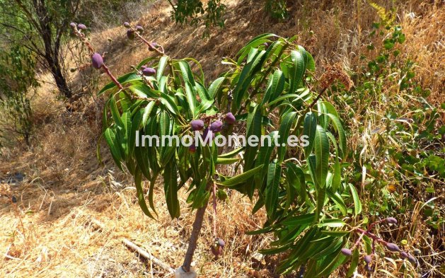 Bestaande woning - Landhuis - Mijas - Mijas Costa